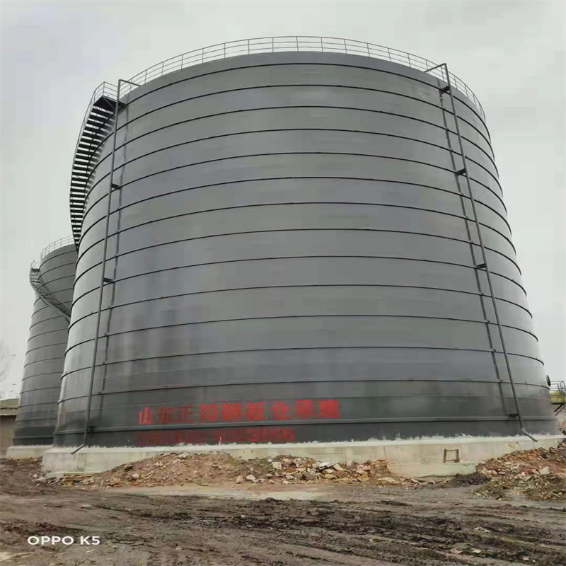 昌化镇3万吨大型钢板库