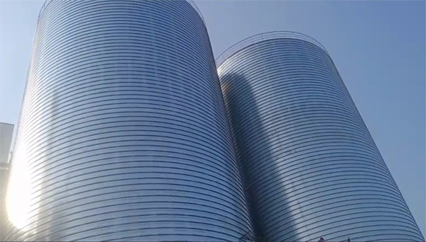 昌化镇2座混凝土高架卷板仓